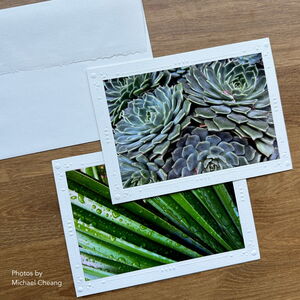 Photo Mount Cards - Decorative Emboss