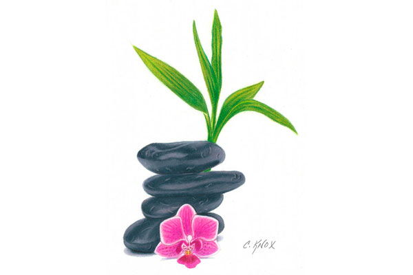 Nature Still Life