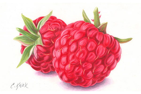 Raspberries