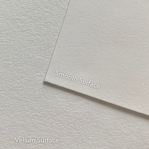 Smooth and Vellum Surface