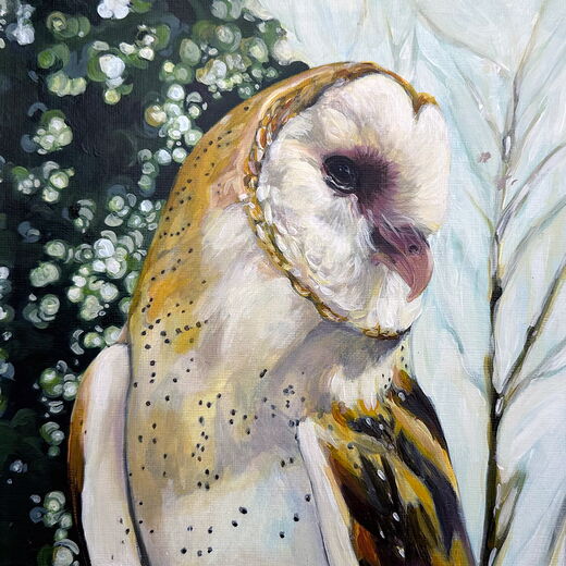 Artwork by Andrea Howson