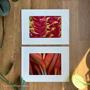 Photo Frame Cards