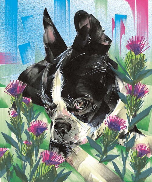 Pug Marker Drawing