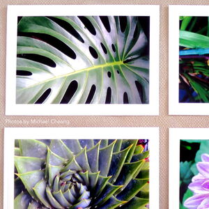 Photo Mount Cards – Classic Emboss