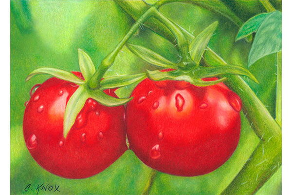 Tomatoes