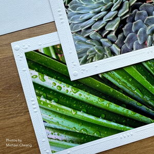 Photo Mount Cards - Decorative Emboss