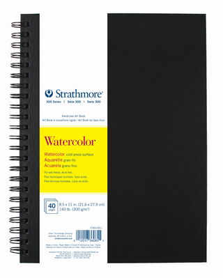 300 Series Watercolor Art Book 1