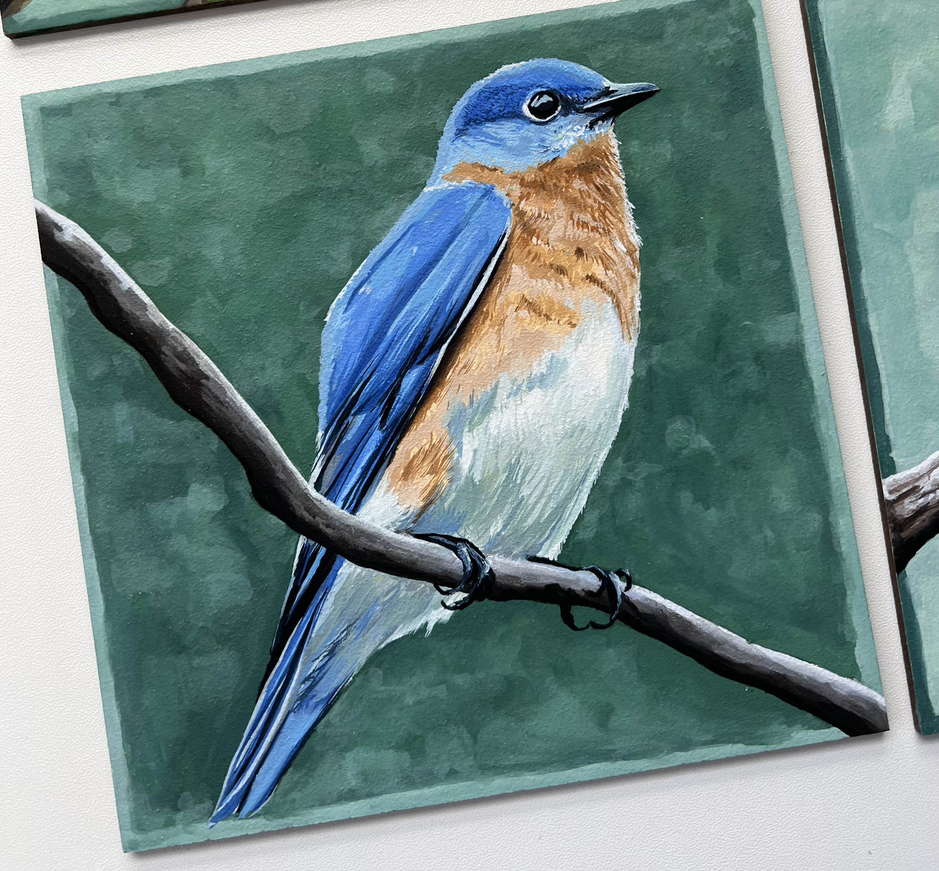 "Colorful bluebird perched on a branch against a green background."