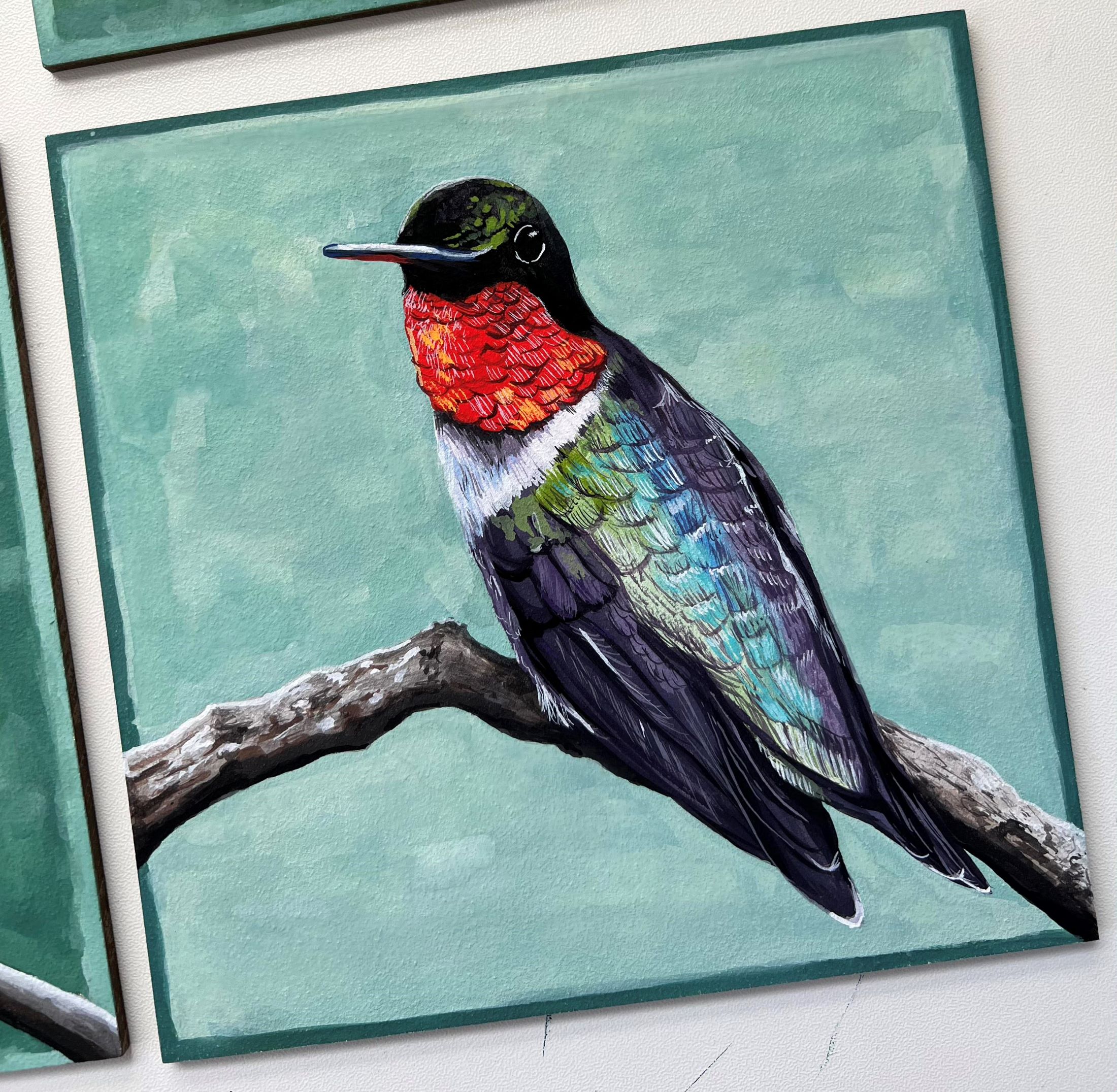 Colorful hummingbird perched on a branch against a soft green background.