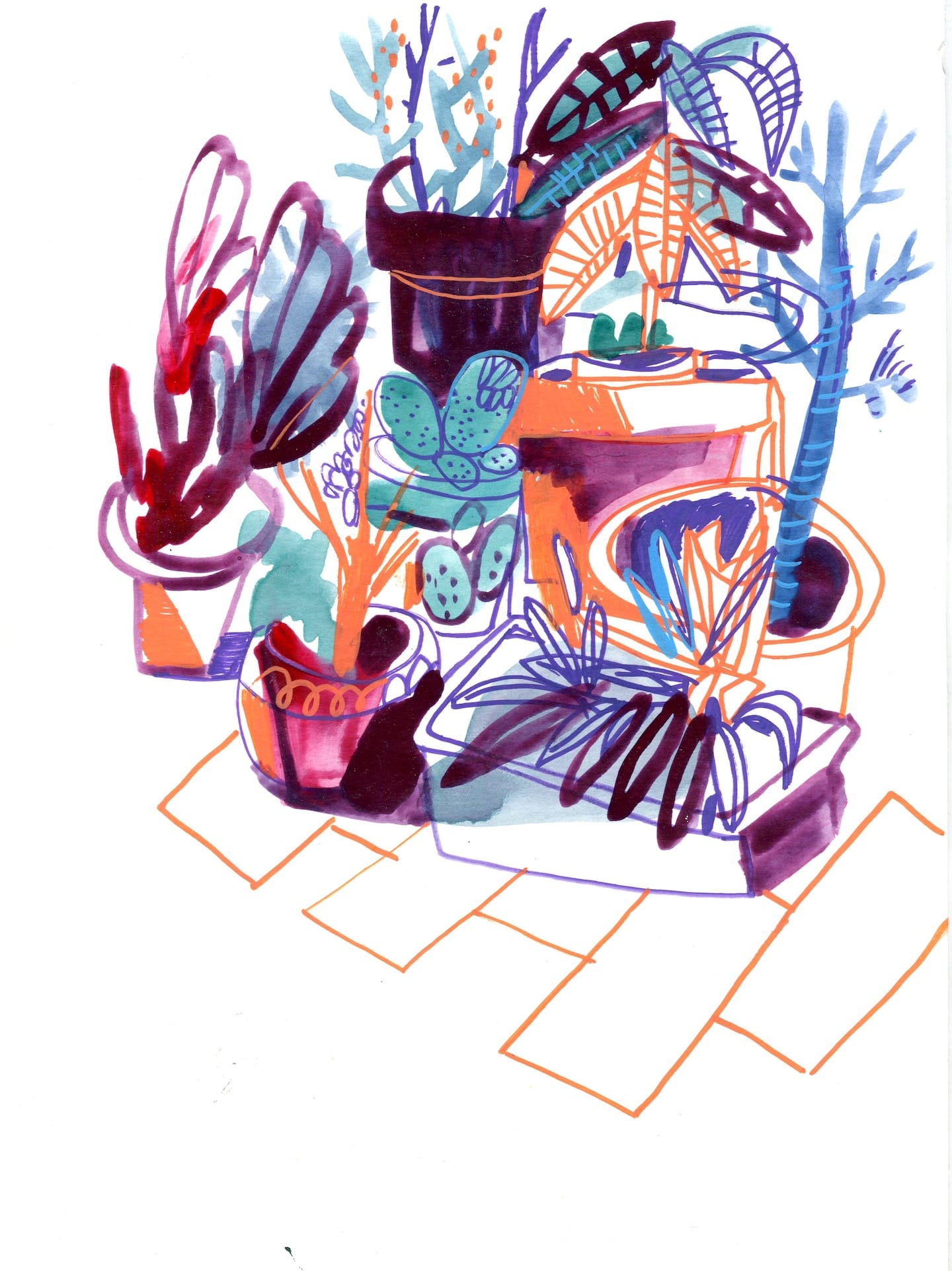 Plants