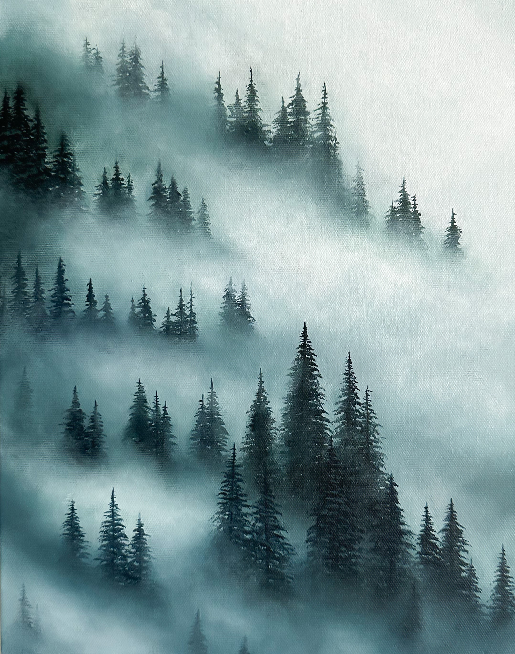 Misty forest landscape with evergreen trees and dramatic fog.