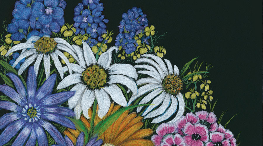 Artwork by Cindi Norton Williams