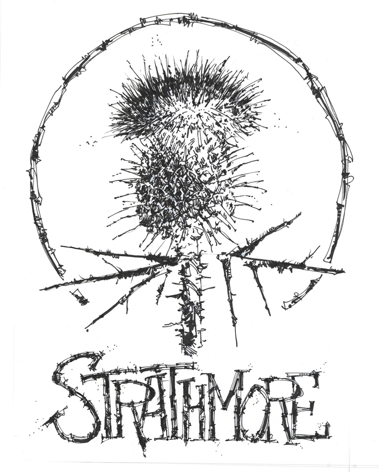 Scottish Thistle