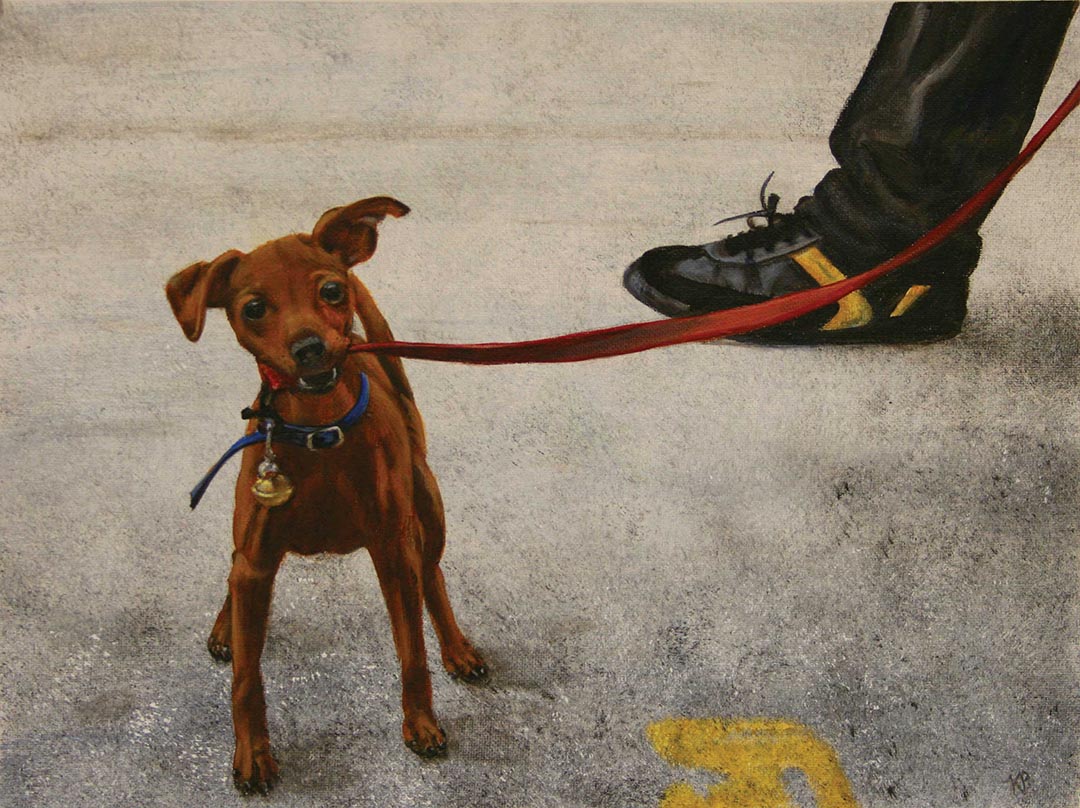 "Small brown dog holding red leash with person in black shoes."