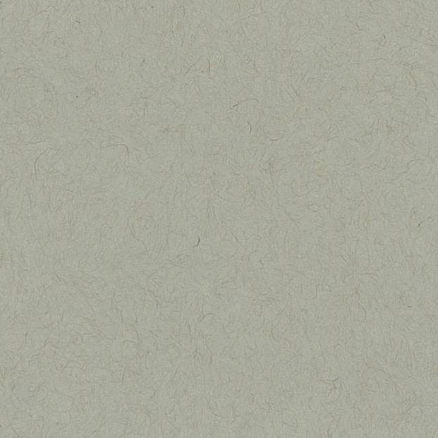 Toned Gray