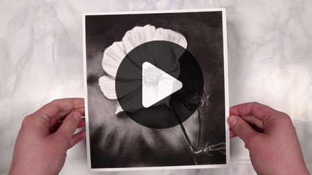 Watch Video