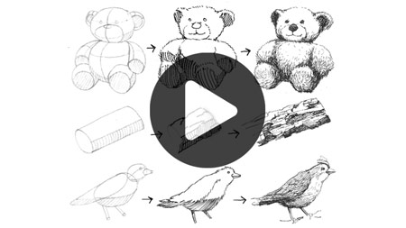 Watch Video